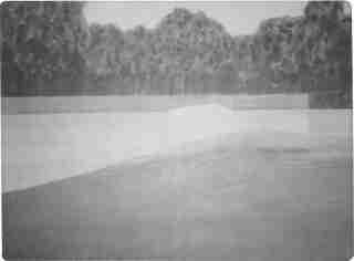 Skanningsbild 68_index.jpg